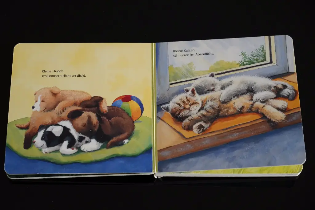 3-kleinetiere2.webp