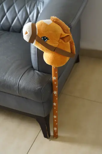 Hobby horse
